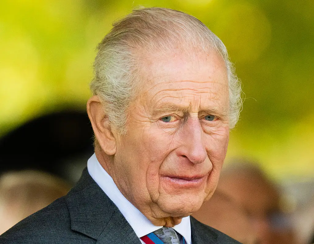 King Charles will be contributing privately towards the cost of the new home (Samir Hussein/WireImage)