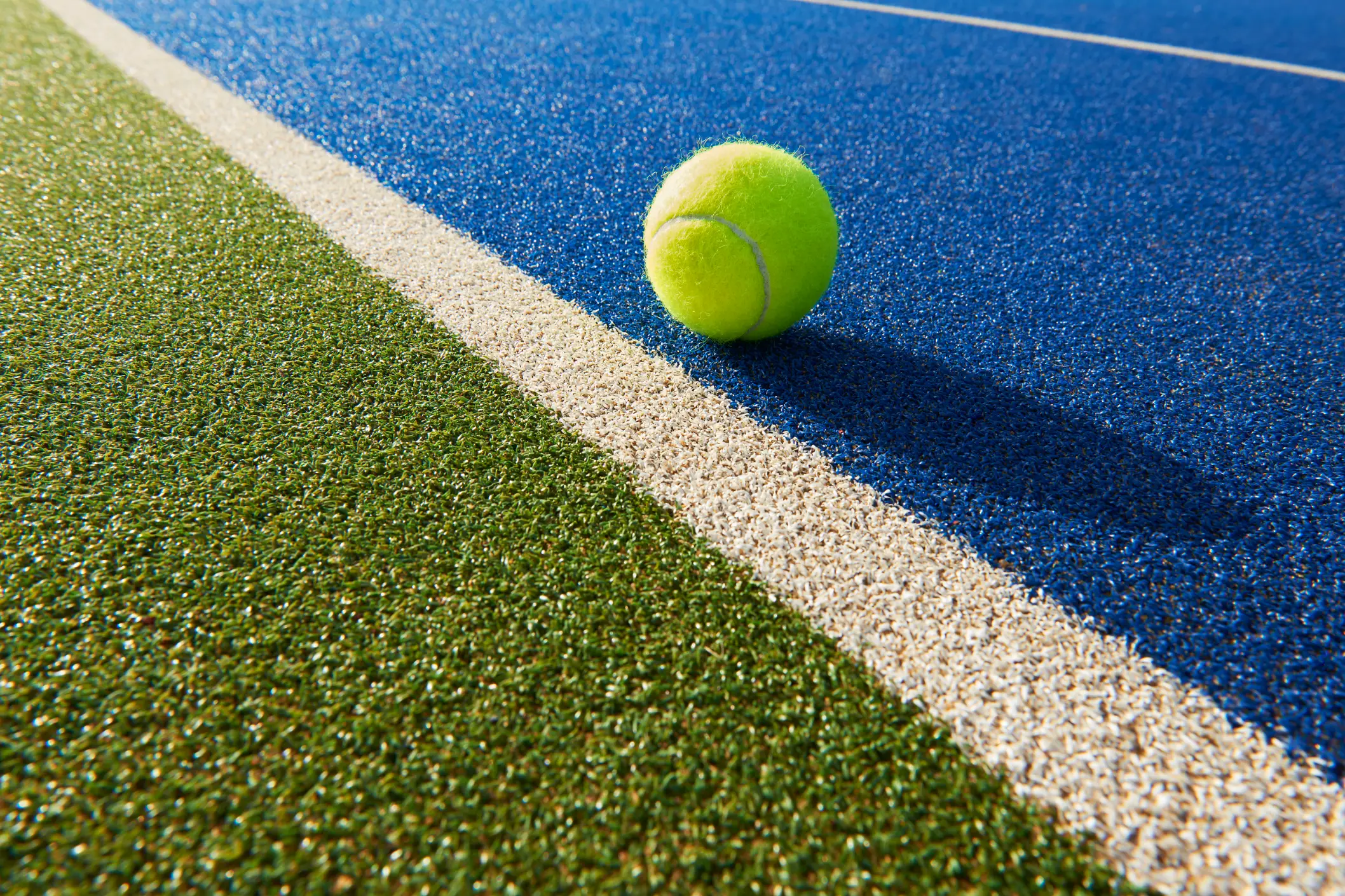 Tennis ball-sized spiders, yep, really (Getty Stock Photo)