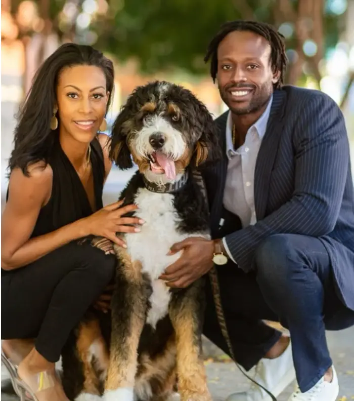 The Berndoodle had been left in the care of a local trainer.