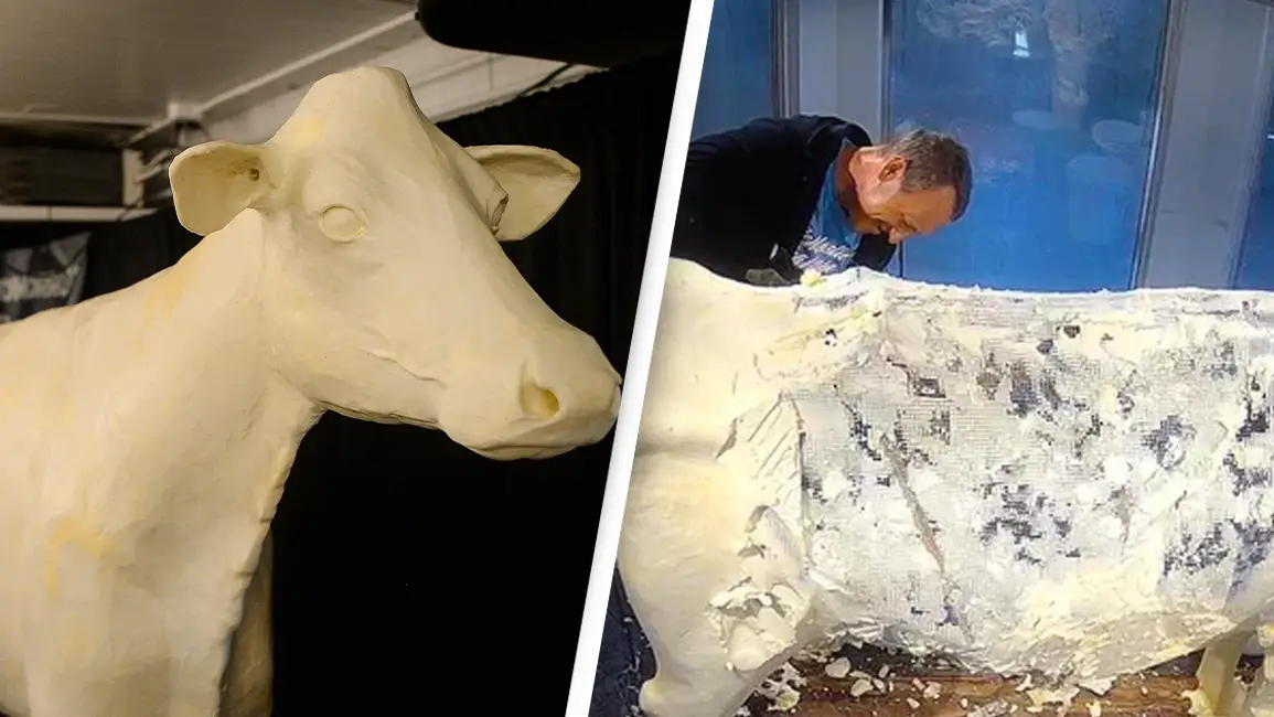 People feel betrayed after realising the Iowa State Fair butter cow wasn’t completely made of butter