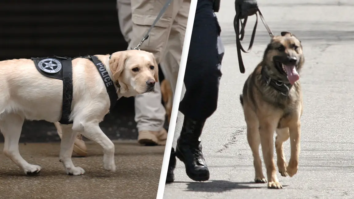 Bryan Mitchell/Getty Images. Bill Pugliano/Getty Images.