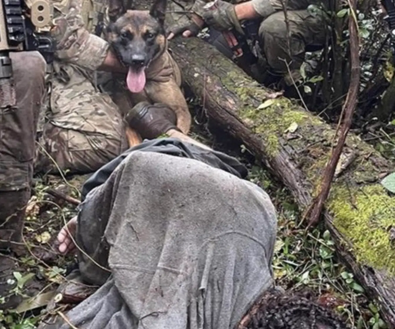 K-9 Yoda captured Danelo Cavalcante.