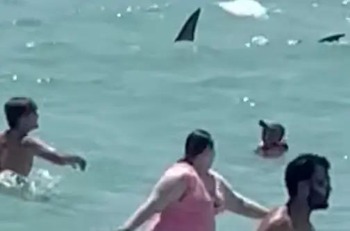 Swimmers got out of the water calmly and slowly.