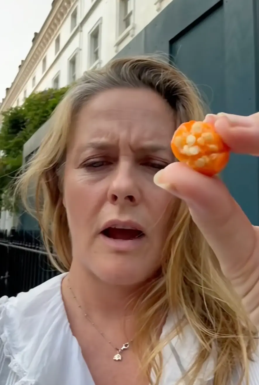 Alicia Silverstone asked fans for help in working out what the plant was. (@aliciasilverstone/TikTok)