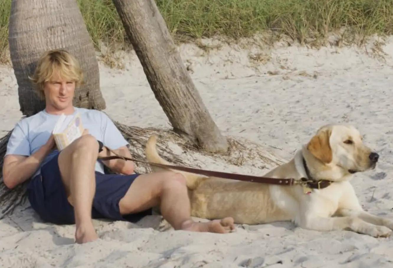 I don't know if I could hack a second 'Marley and Me' (20th Century Fox)