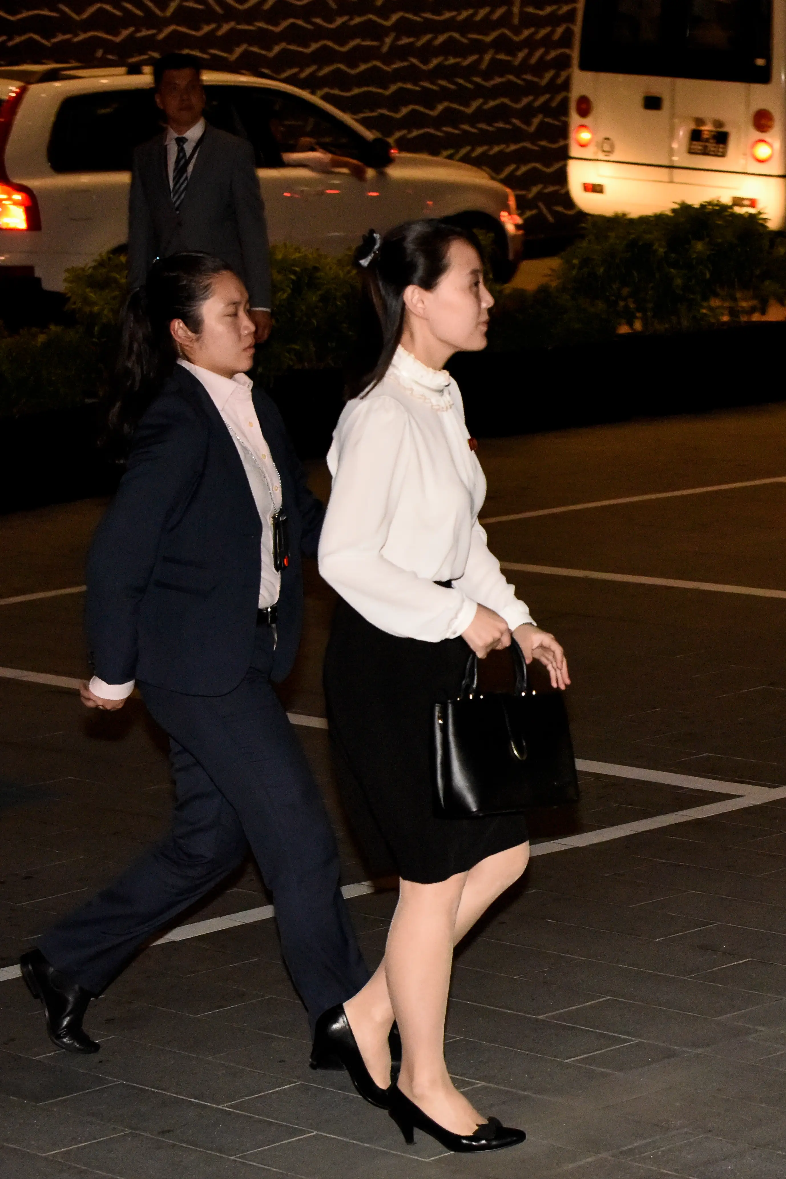 Kim Yo Jung would take over as leader if her brother died (Chris Jung/NurPhoto via Getty Images)