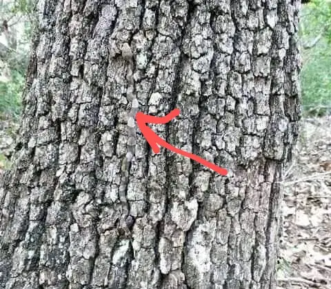 If you needed some help (Twitter)