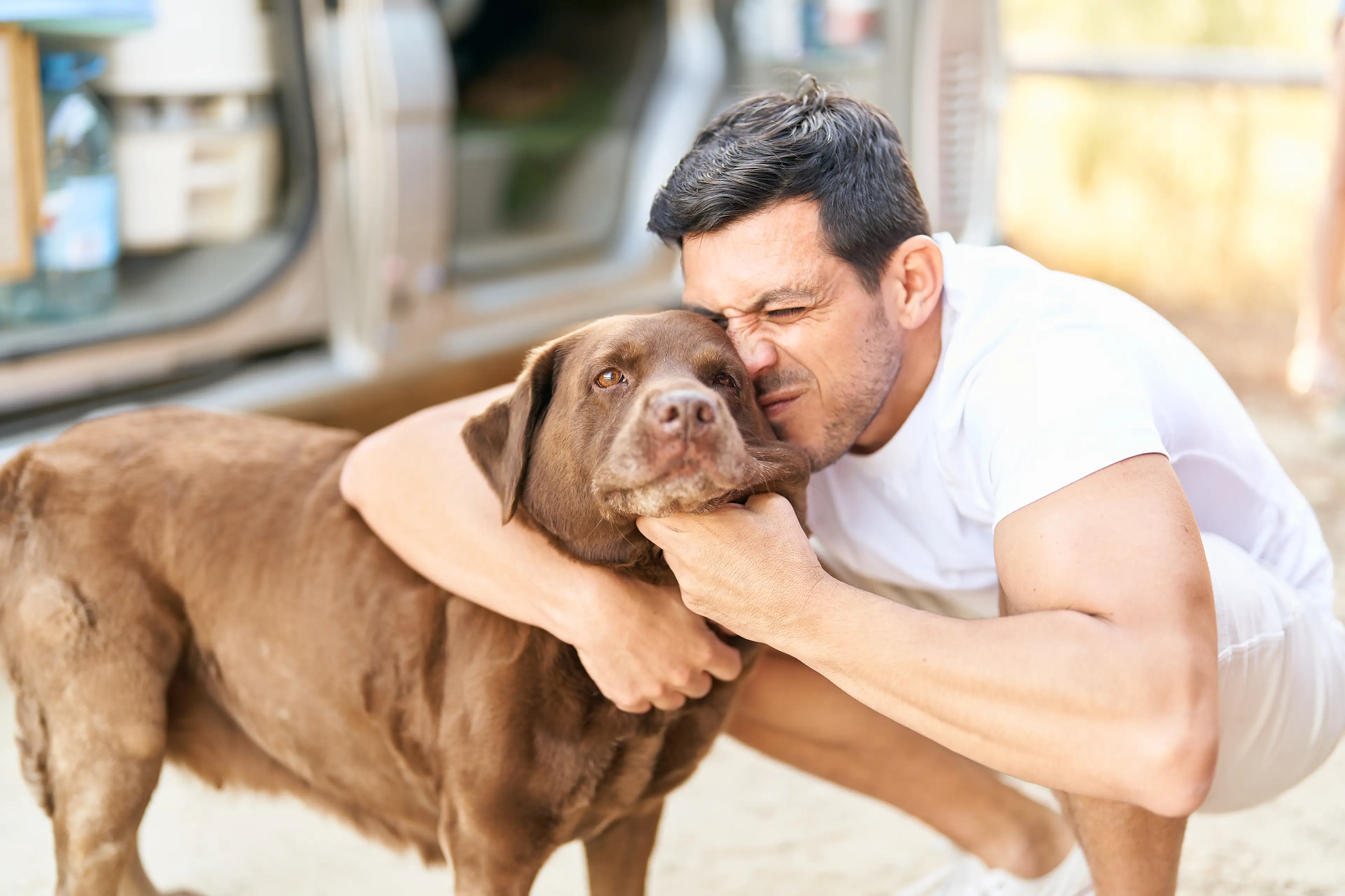 Larger dogs tend to live shorter lives (Getty Stock Image)