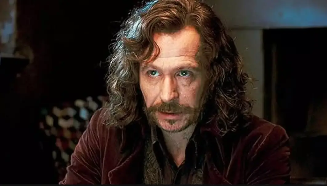 Gary Oldman starred as Sirius in the movies (Warner Bros.)