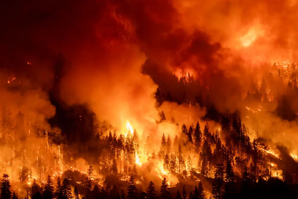 'We still have a window to turn this around', one urged. (David McNew/Getty Images)
