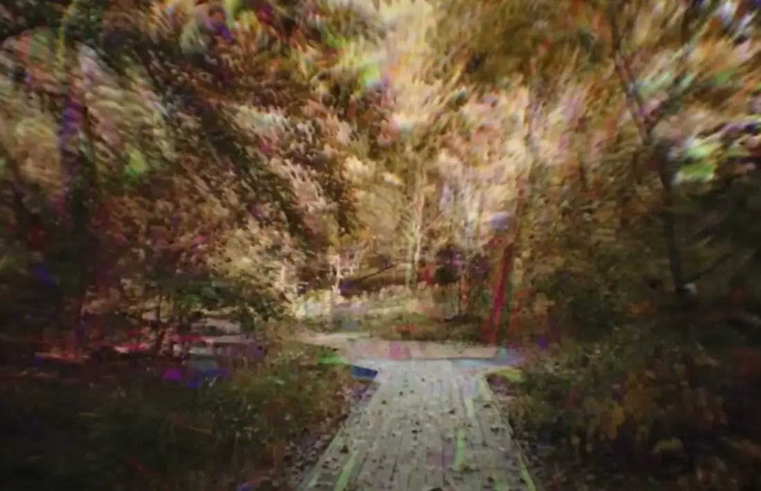 Kins hopes to ' improve our ability to communicate with each other about the experiences of altered states of consciousness'.