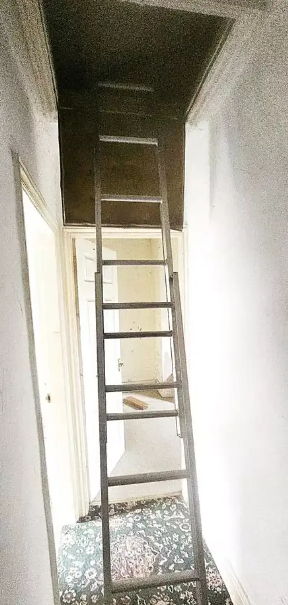 It would make a great set for a horror movie (OnTheMarket)