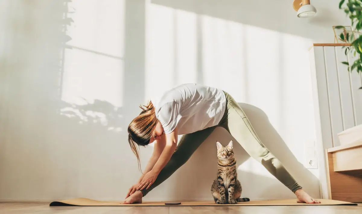 Setting sustainable goals will help improve your mental health, says the expert (Getty stock image)