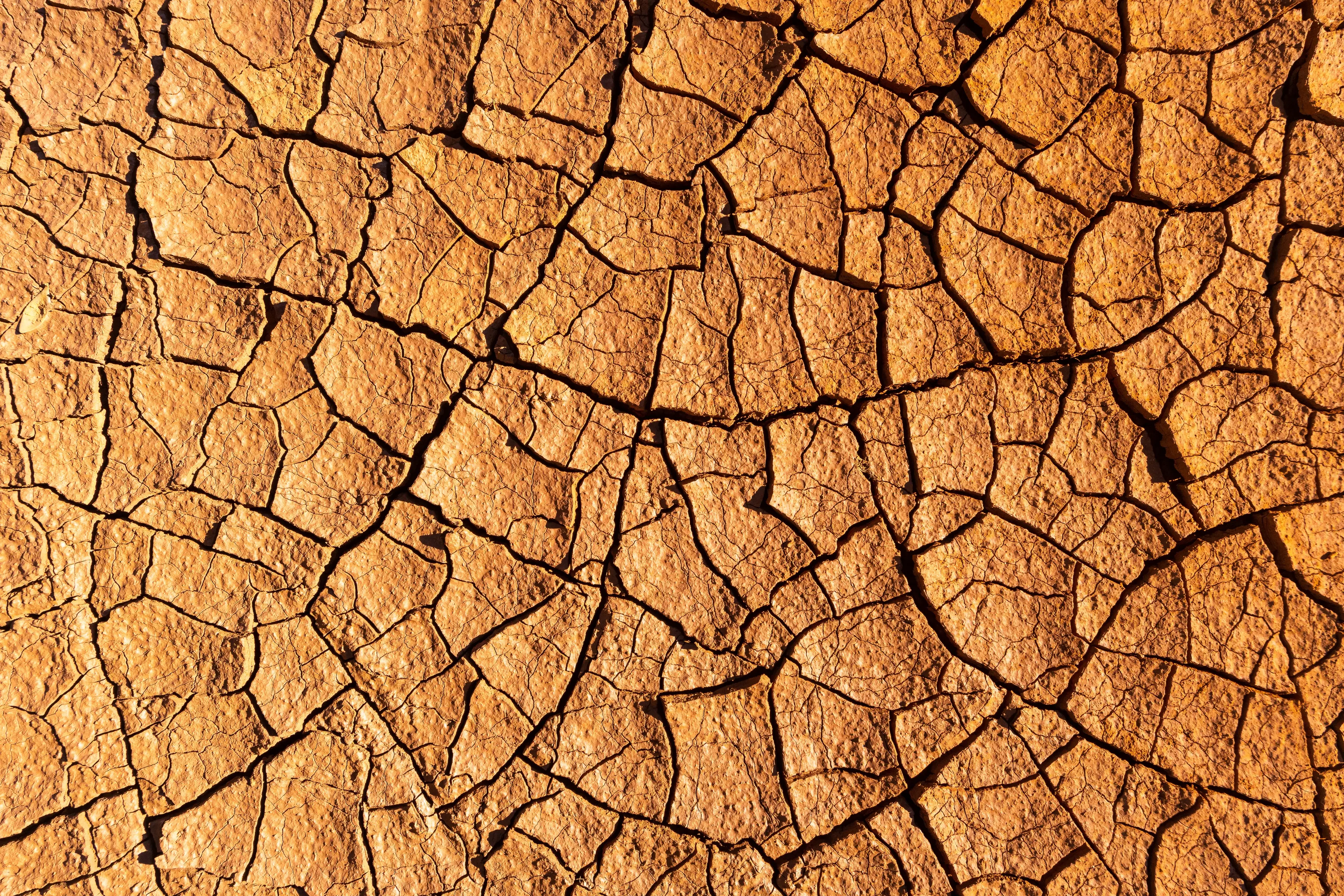 El Niño can have a large variety of knock-on effects (Frederic Desmoulins/Getty)