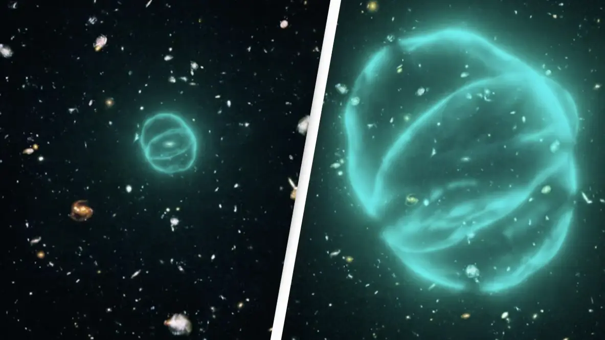 Sam Moorfield/CSIRO/The Conversation/YouTube