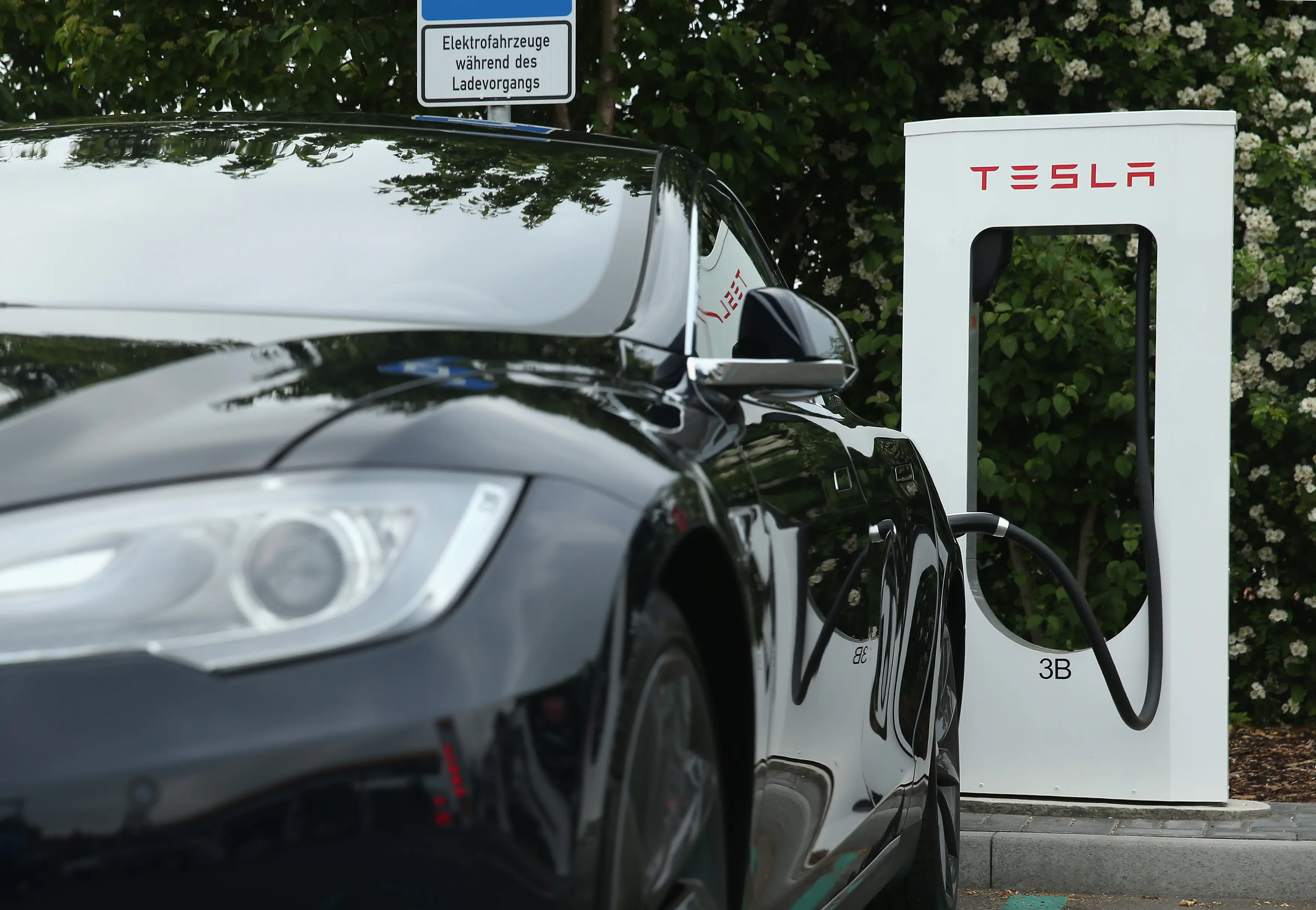 How much does it really cost to charge a Tesla up every month? (Sean Gallup/Getty Images) 