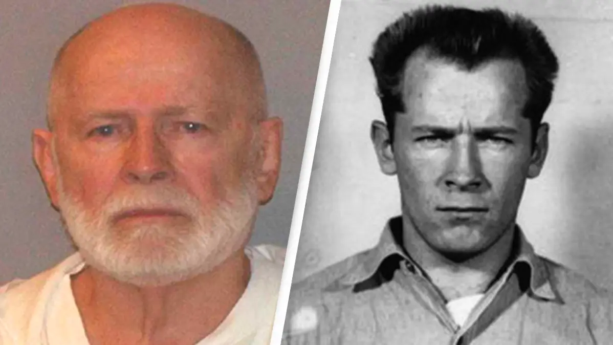 Donaldson Collection / Contributor