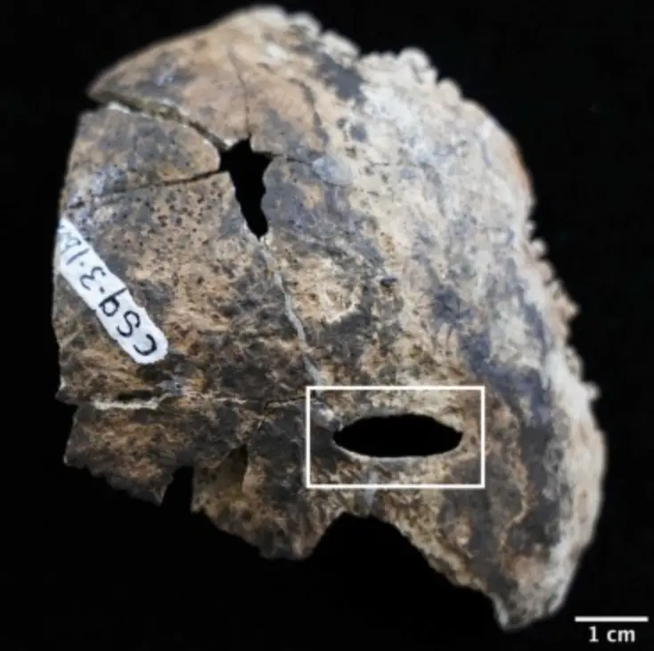 Many of the bones found in the Blood Cave had evidence of traumatic injuries (Michele Bleuze)