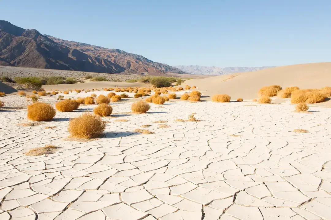 El Niño can impact the weather in a wide variety of ways (Gary Yeowell/Getty)