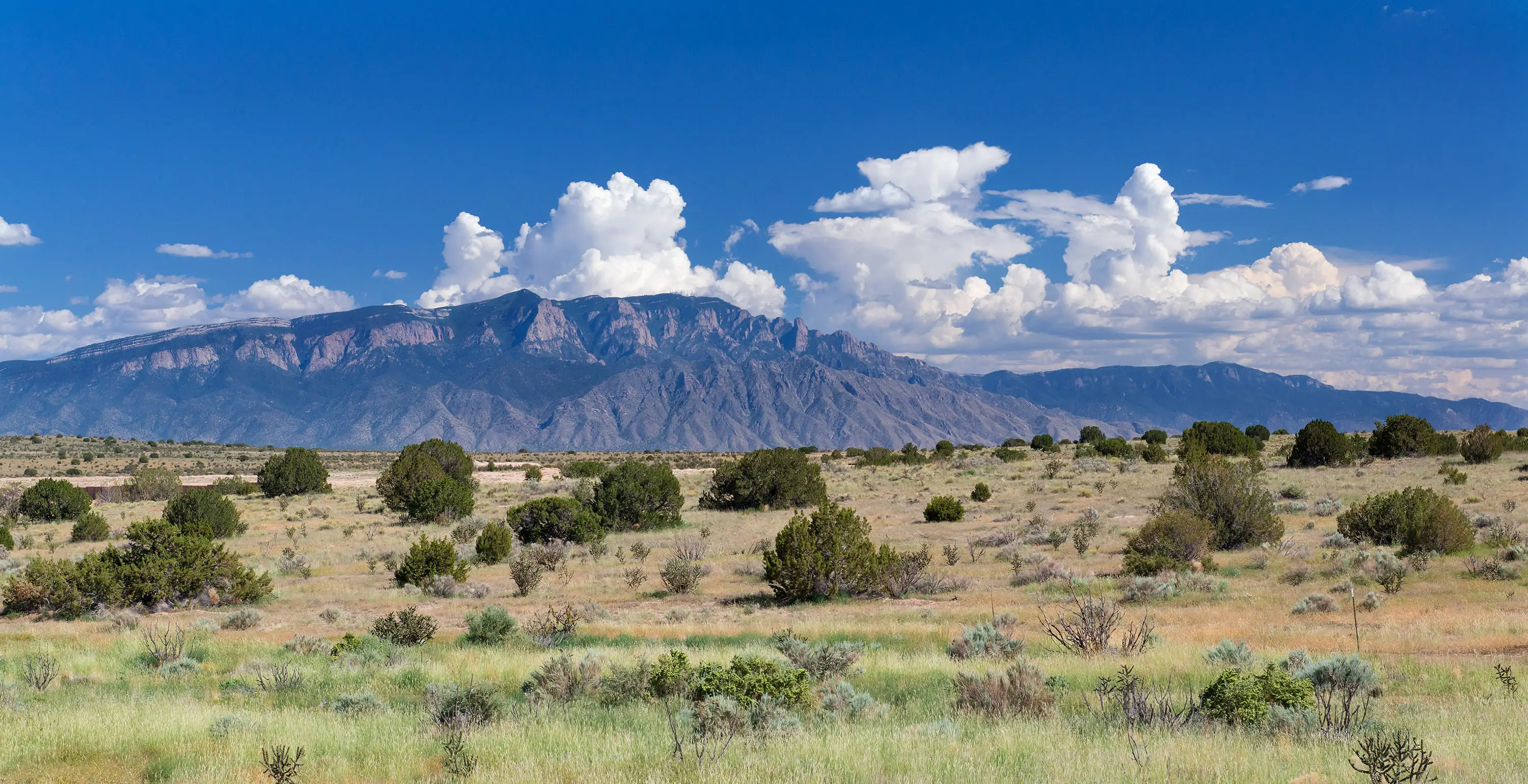 Retired USAF major general McCasland was said to enjoy hiking, cycling, and running around the trails of the Sandia foothills (Steve Snowden / Getty Images)