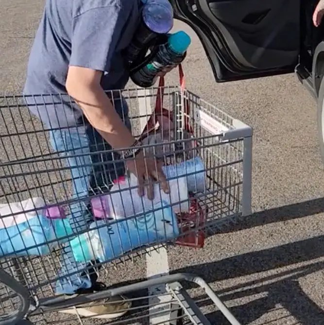 The supermarket employee was fired after filming the video.