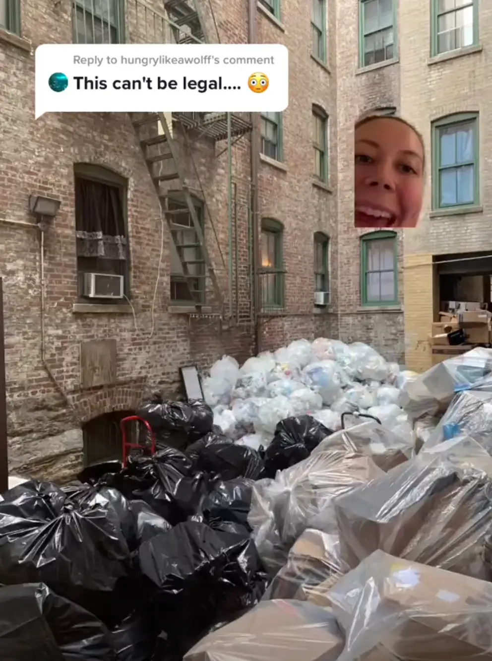 (@notfromdenmark/TikTok)