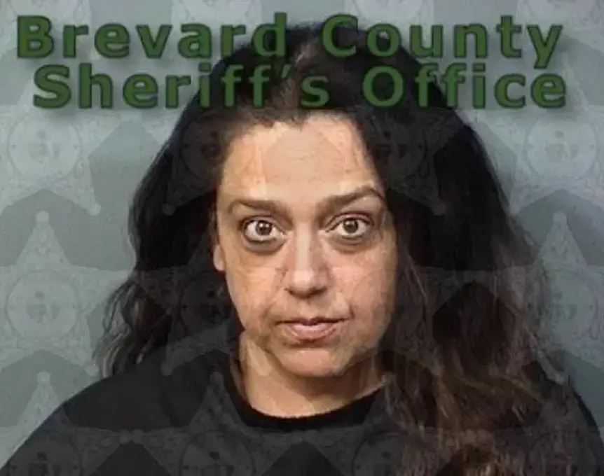 The principal allegedly hosted a party (Brevard County Sheriff's Office)