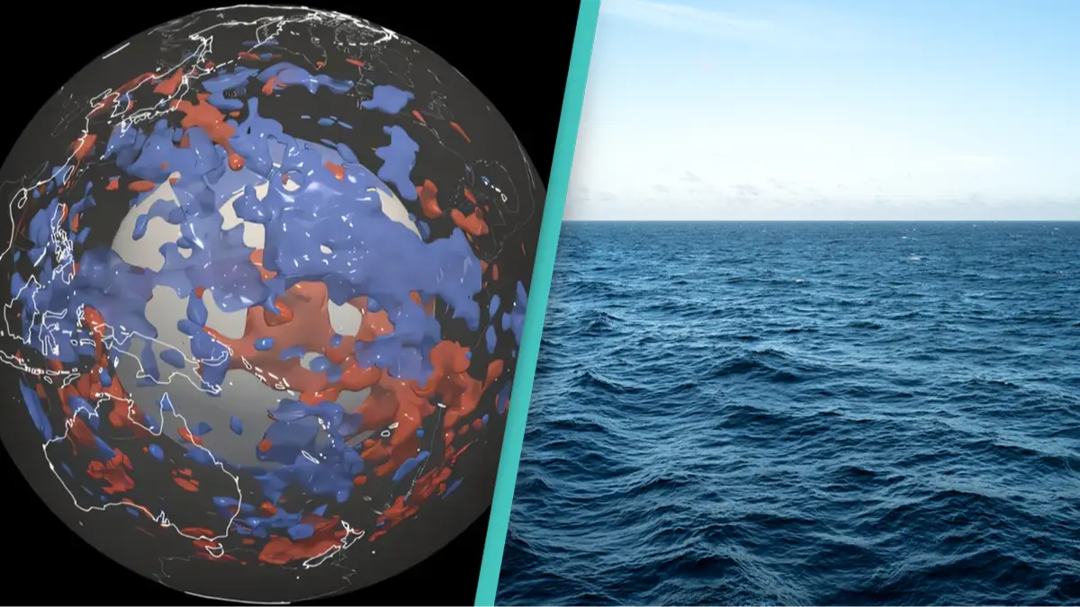 Sebastian Noe/ETH Zurich/Getty Stock Image