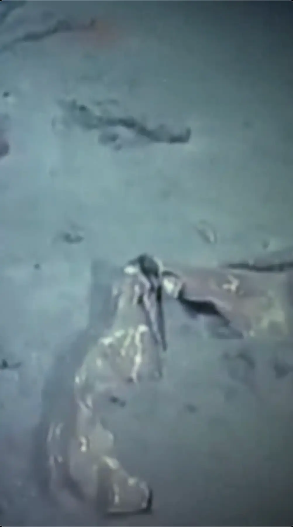 The shoes are all that's left of those who died. (CNN)