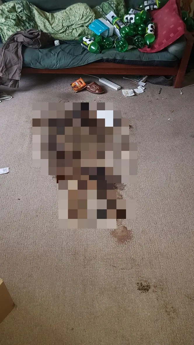 Giles said the worst kind of body fluid to clean is decomposition, which can be seen here (Ben Giles/Supplied)
