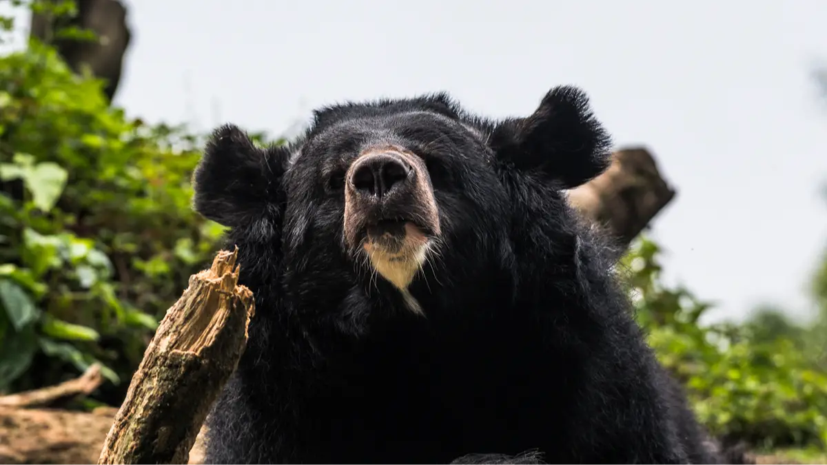 Getty Images/NurPhoto