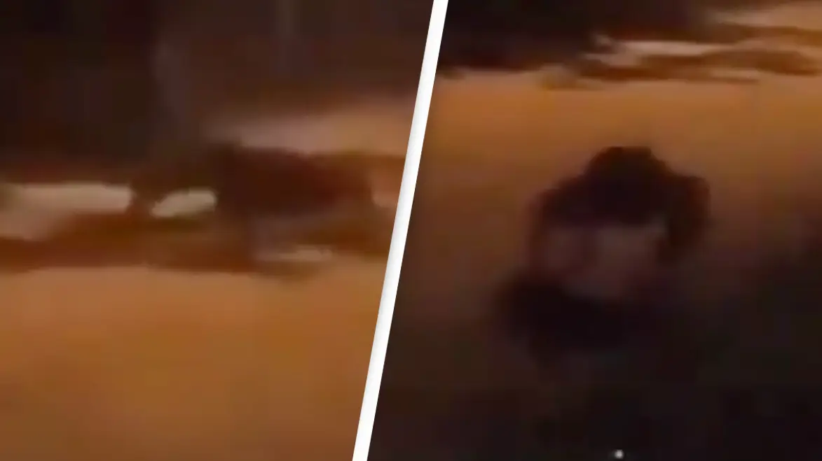 Reddit/u/fit_then_fat