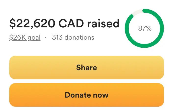 The family are hoping to raise $26,000 for the injured woman (GoFundMe)