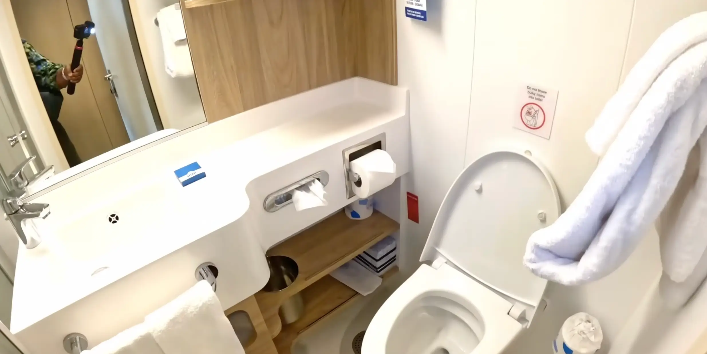 Lynelle showed viewers her 'tiny' bathroom (Poverty To Paradise/YouTube)