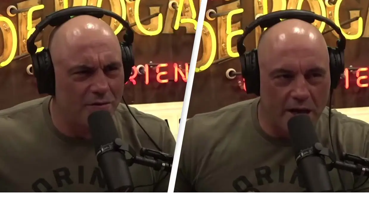 The Joe Rogan Experience/YouTube