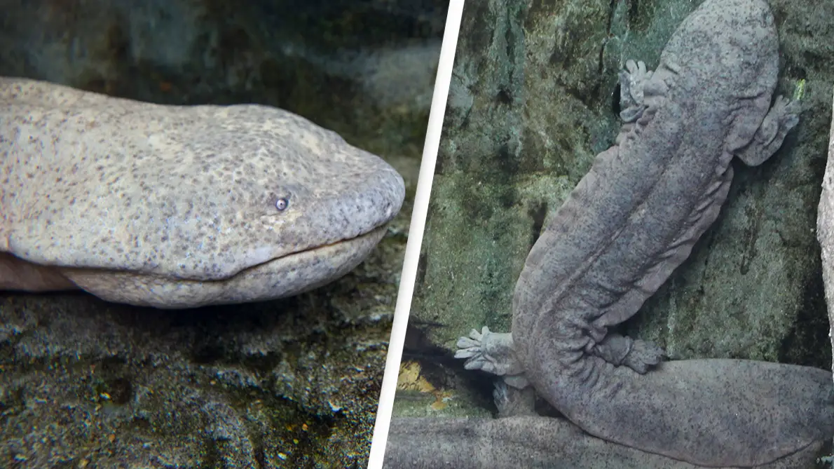 Getty/Best View Stock/Getty/South China Morning Post