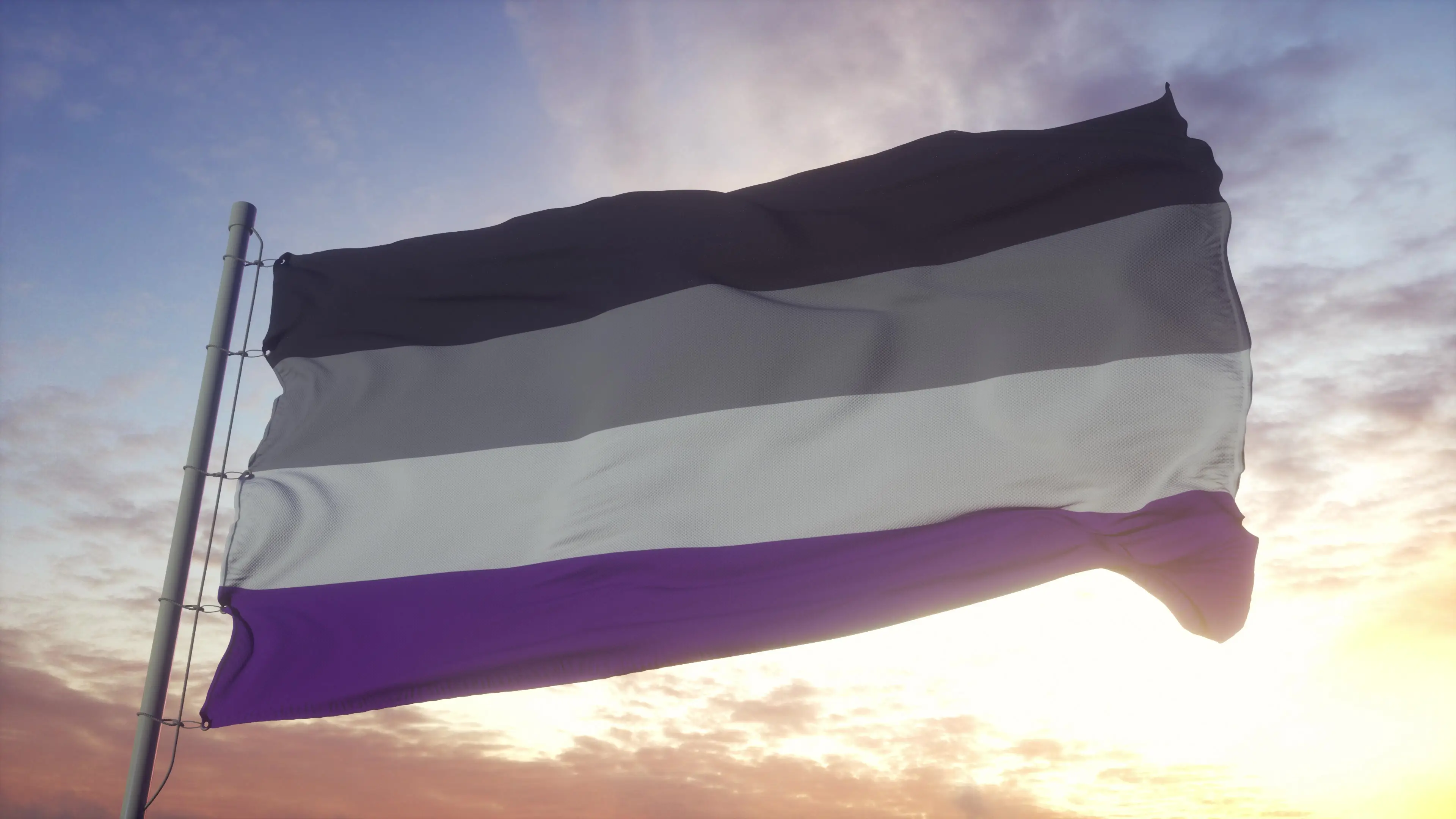 The flag of asexuality (Getty Stock Photo)