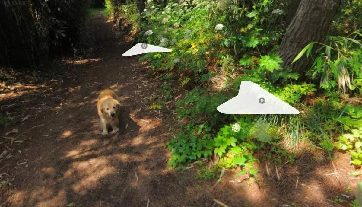 Too cute (Google Maps)