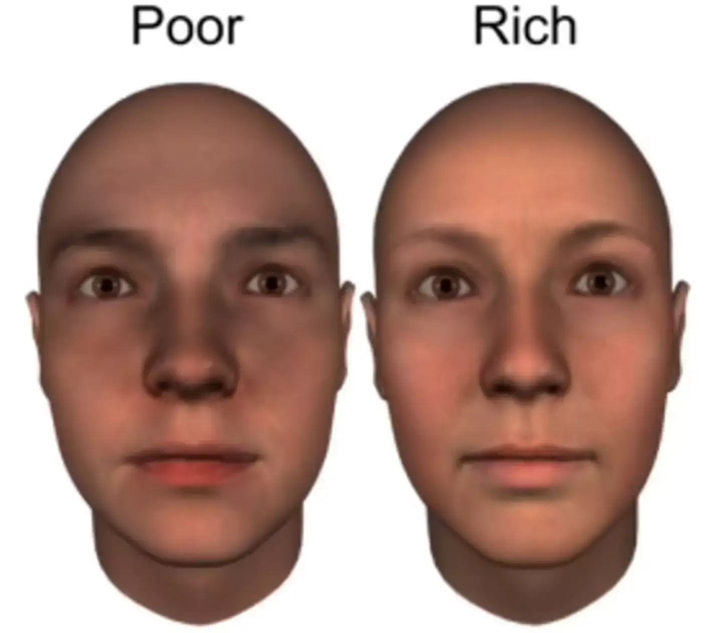 Scientists requested that participants studied a variety of 3D faces (University of Glasgow)
