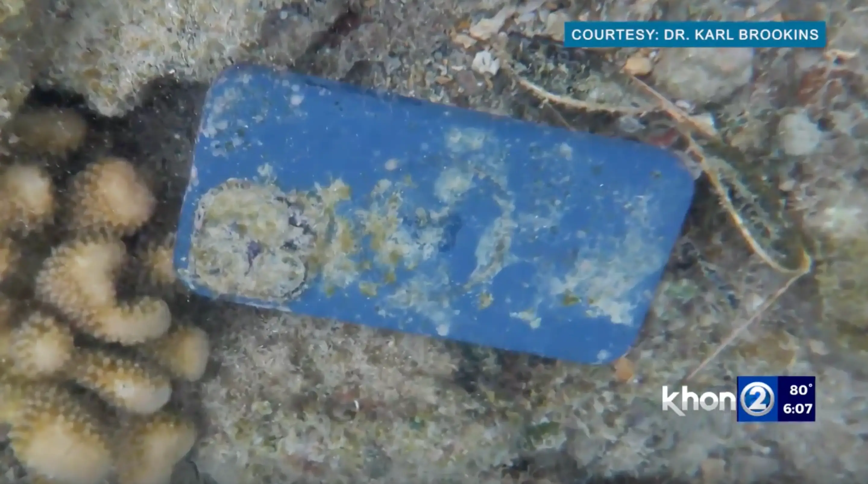 The phone, as it was found underwater.