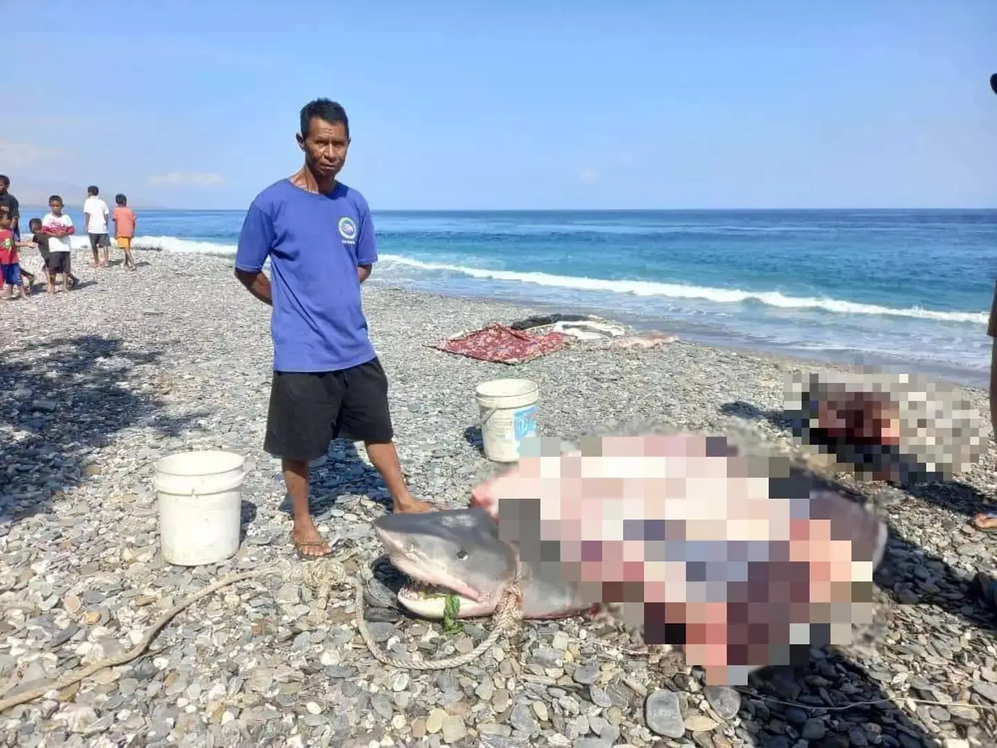 A fisherman caught a shark and found human remains inside it (Asia Pacific Press via Viral Press)
