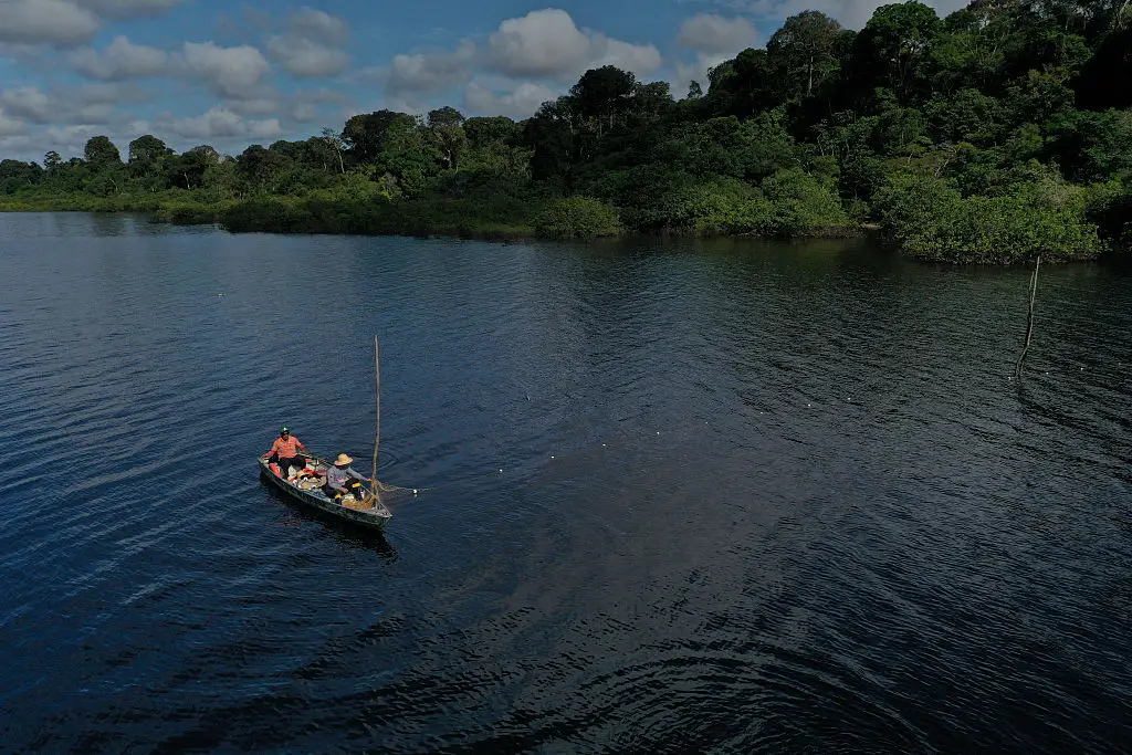 Lake Tefe in Brazil reached extreme temperatures (MIGUEL MONTEIRO/AFP via Getty Images)