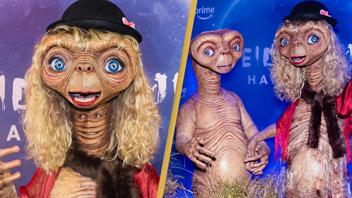 TheStewartofNY/WireImage/Getty