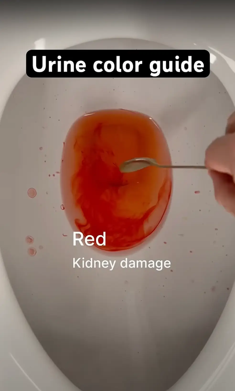 The video 'guide' says a lot about your health (YouTube/Kieram Litchfield)