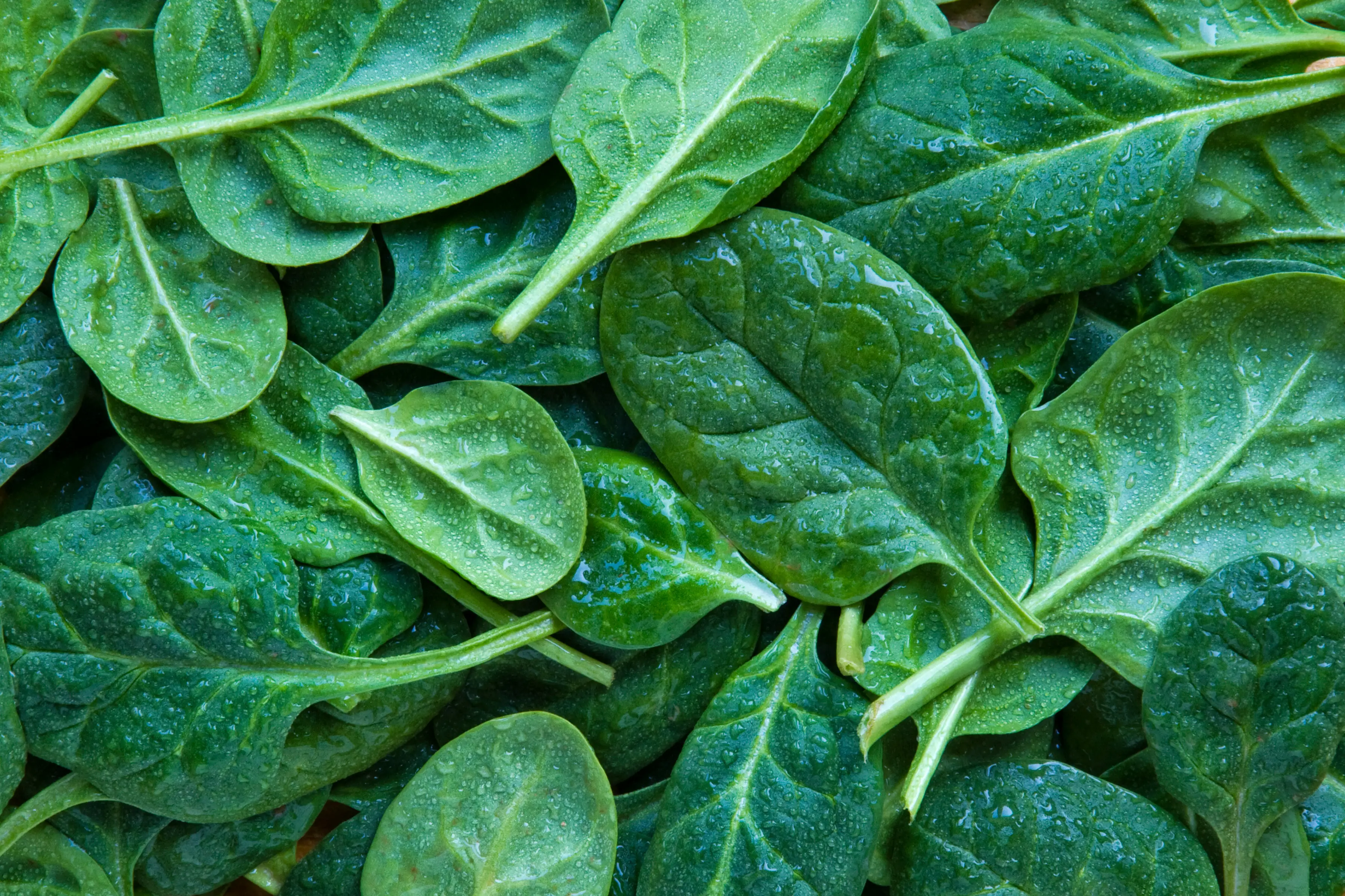 The advice on spinach has changed (Getty Stock Photo)