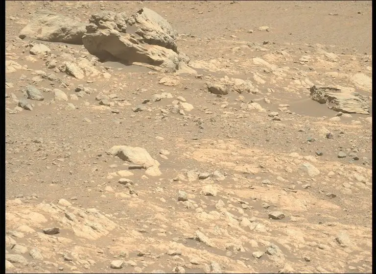 NASA claims the rock came from outside of Mars (NASA)