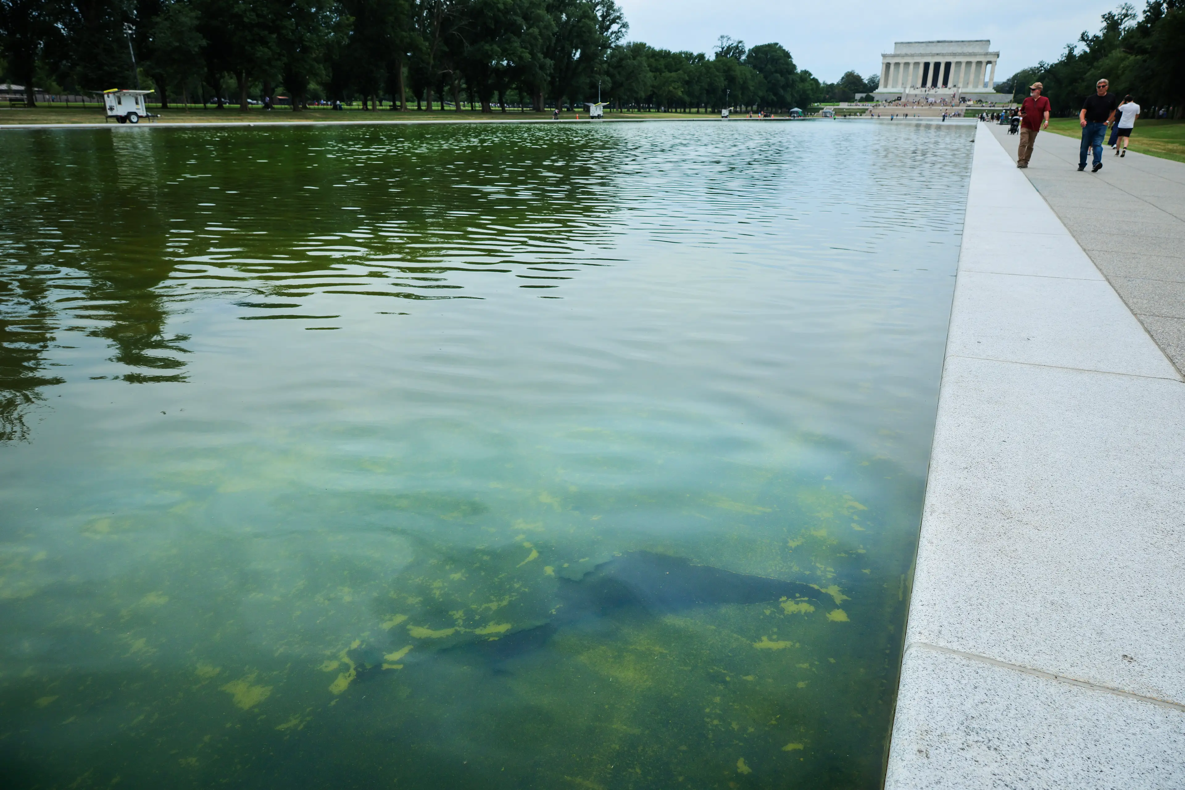 The Reflecting Pool isn't looking its best (Chip Somodevilla/Getty Images)