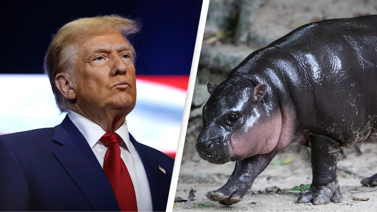 Anna Moneymaker/Getty Images / Valeria Mongelli/Anadolu via Getty Images 