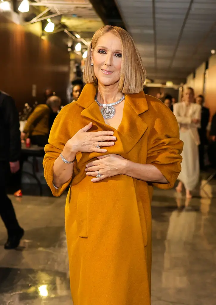 Dion said she couldn't hide the truth 'anymore' (Neilson Barnard/Getty Images for The Recording Academy)