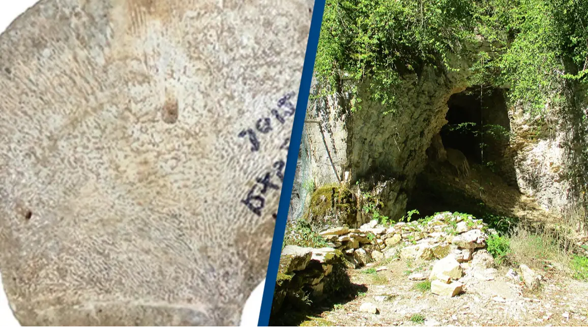 Scientist Reports/Pueblopassingby/Wikimedia Commons